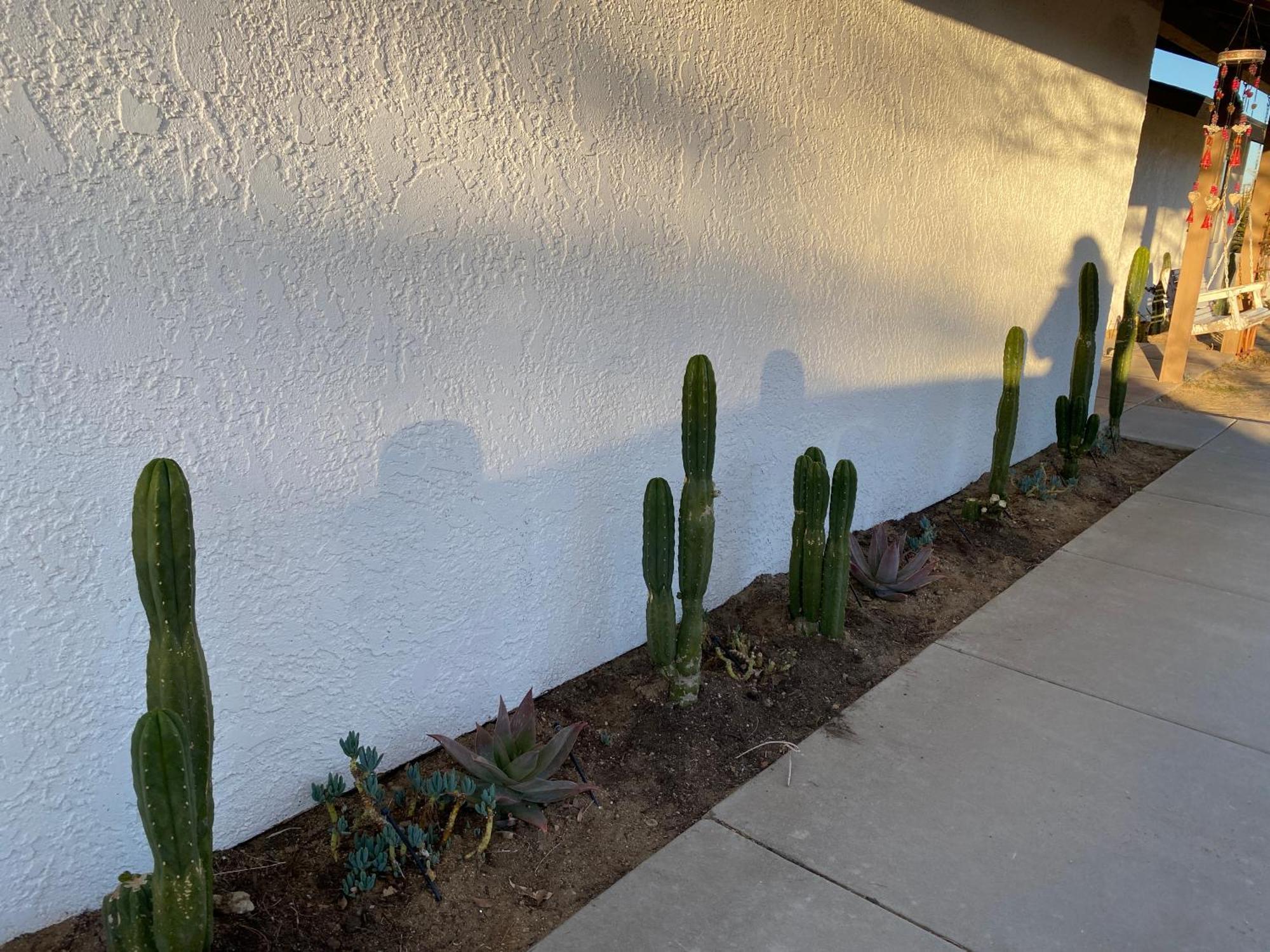 Electroliquid'S Casa Pueblo Joshua Tree Villa Exterior photo